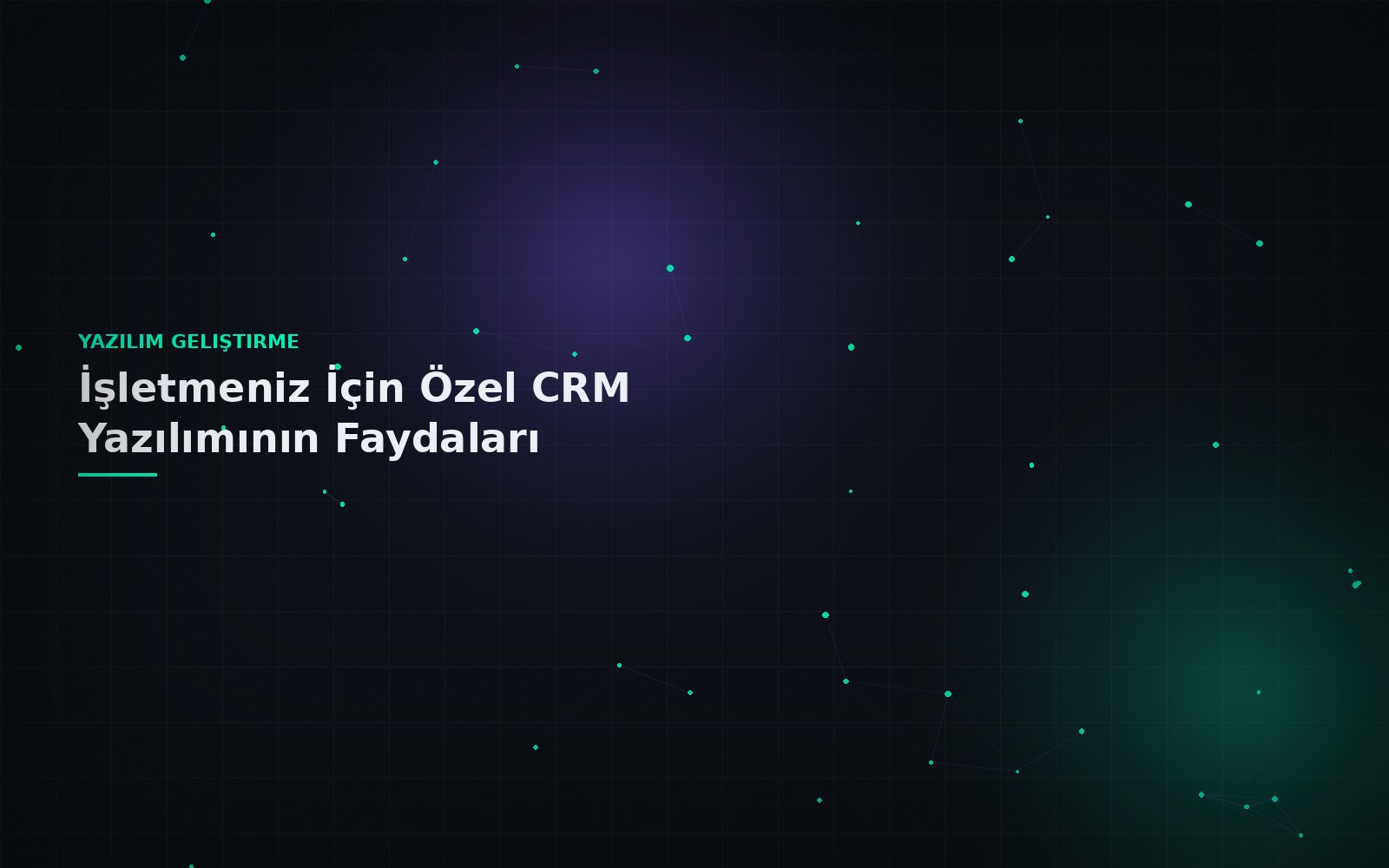 İşletmeniz İçin Özel CRM Yazılımının Faydaları
