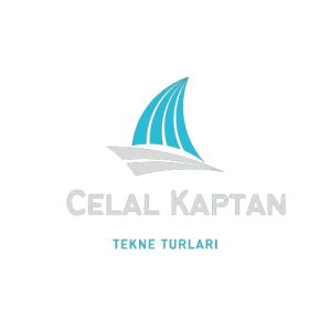 sea_ship_logo-removebg-preview-1 (1)